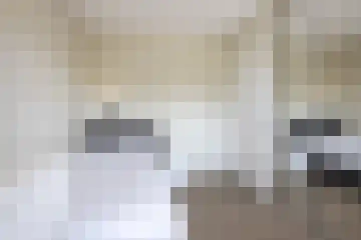 Bakboord 26 Meppel thumbnail 27