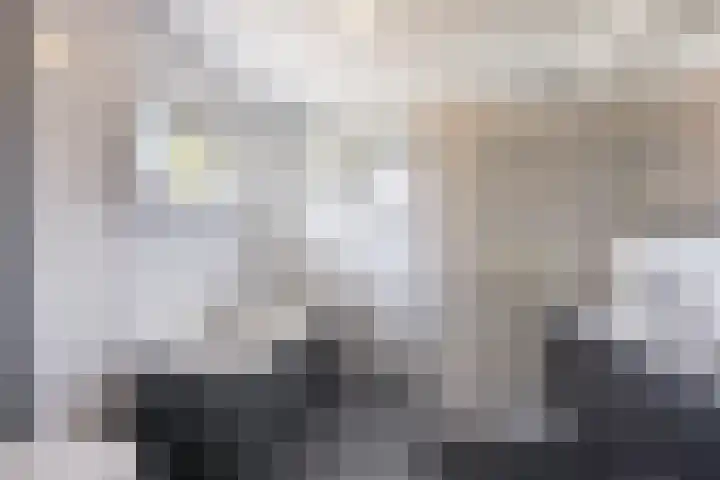 Bakboord 26 Meppel thumbnail 30