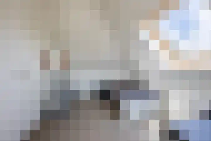 Bakboord 26 Meppel thumbnail 33