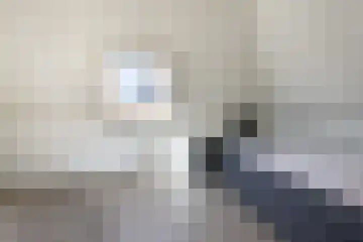Bakboord 26 Meppel thumbnail 35
