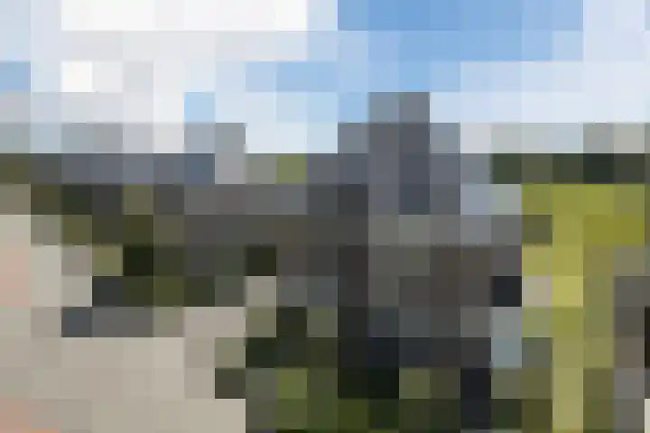 Bakboord 26 Meppel thumbnail 38