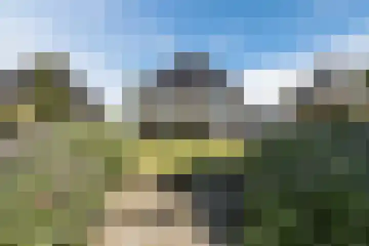 Bakboord 26 Meppel thumbnail 41