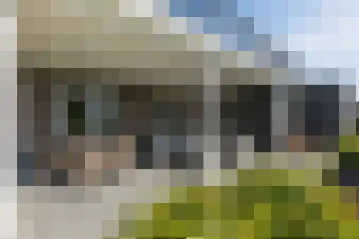 Bakboord 26 Meppel thumbnail 42