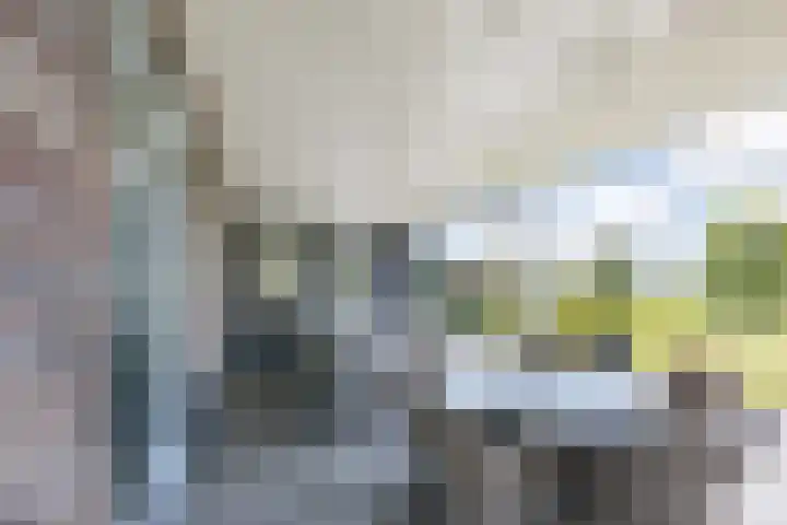 Bakboord 26 Meppel thumbnail 43
