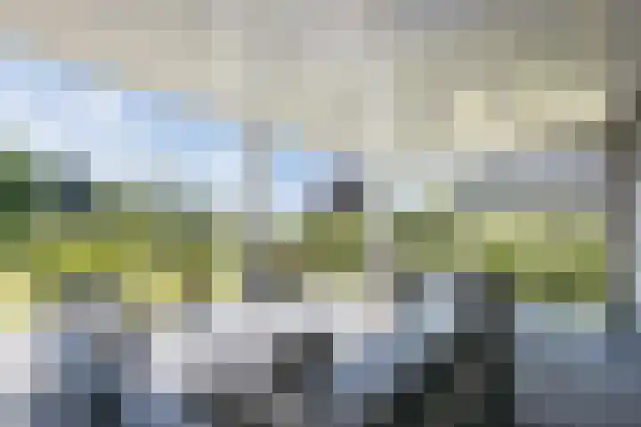 Bakboord 26 Meppel thumbnail 45