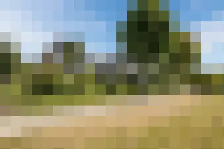 Bakboord 26 Meppel thumbnail 47