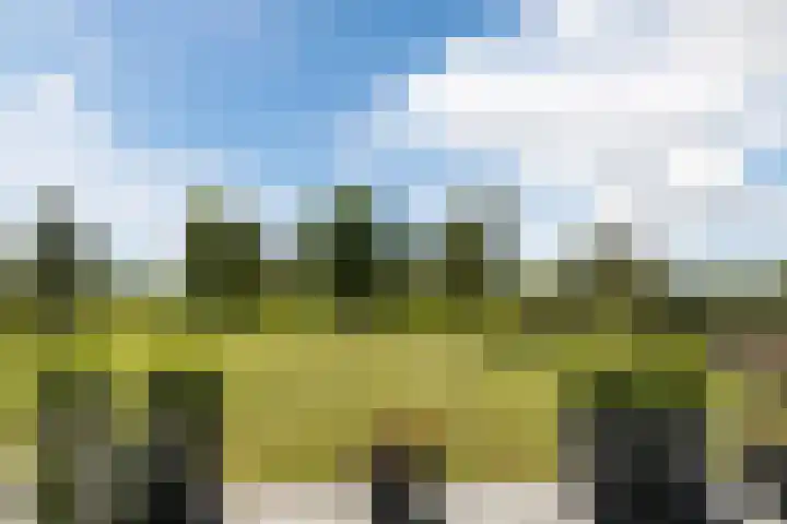 Bakboord 26 Meppel thumbnail 48