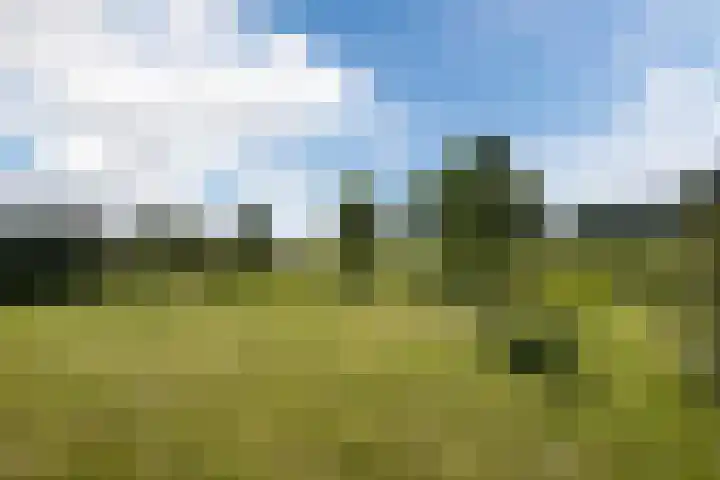 Bakboord 26 Meppel thumbnail 49
