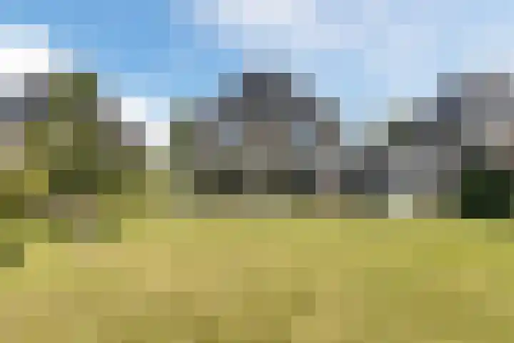 Bakboord 26 Meppel thumbnail 5