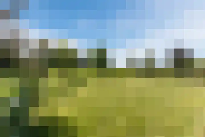 Bakboord 26 Meppel thumbnail 52