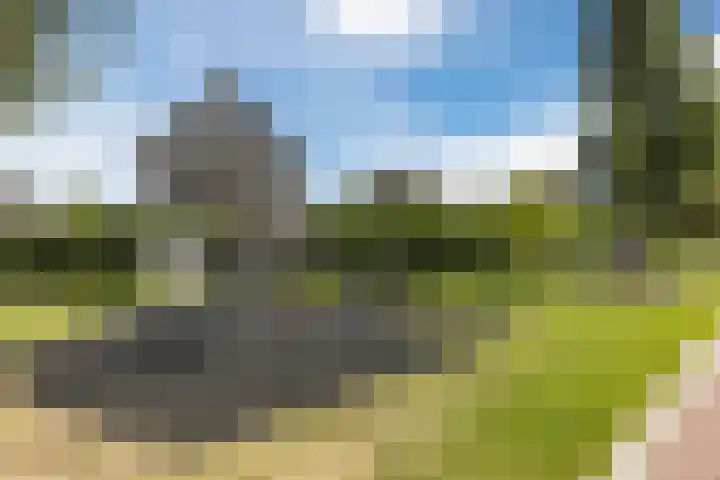 Bakboord 26 Meppel thumbnail 53