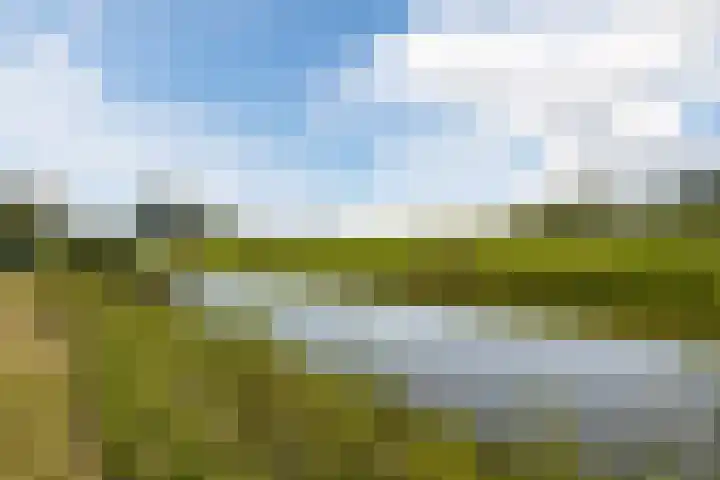 Bakboord 26 Meppel thumbnail 54