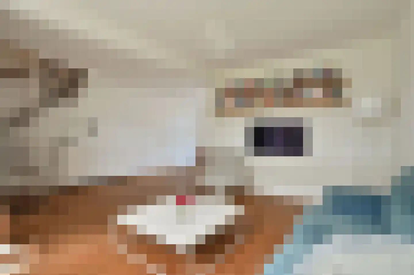Bakboord 28 Huizen thumbnail 5