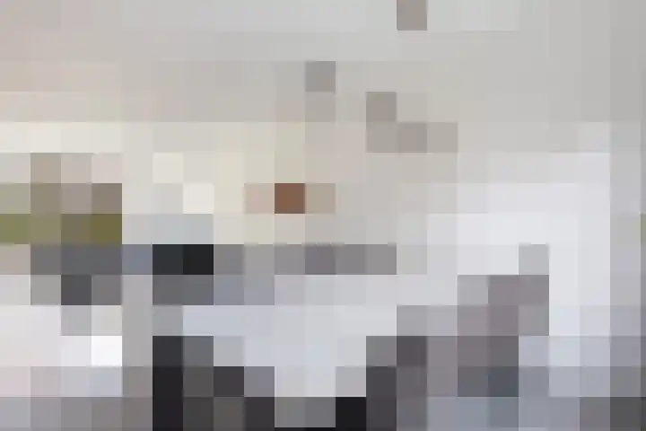 Bakboord 29 Wijk bij Duurstede thumbnail 14