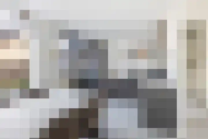 Bakboord 29 Wijk bij Duurstede thumbnail 16