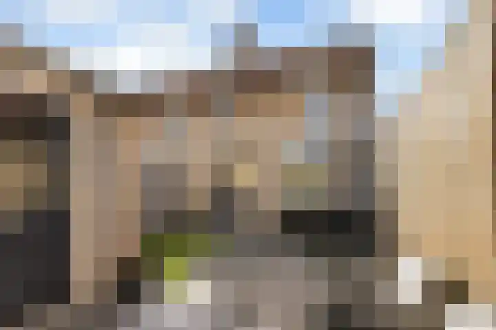 Bakboord 29 Wijk bij Duurstede foto 2