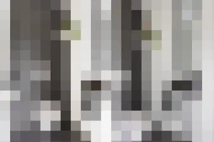 Bakboord 29 Wijk bij Duurstede thumbnail 23
