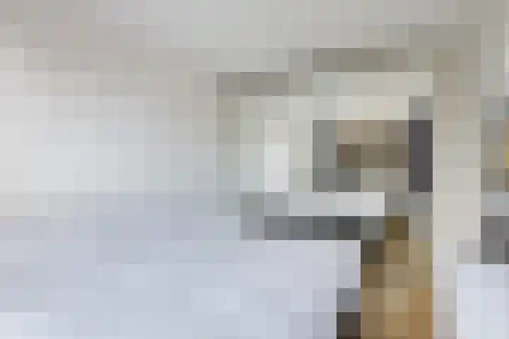 Bakboord 29 Wijk bij Duurstede thumbnail 28