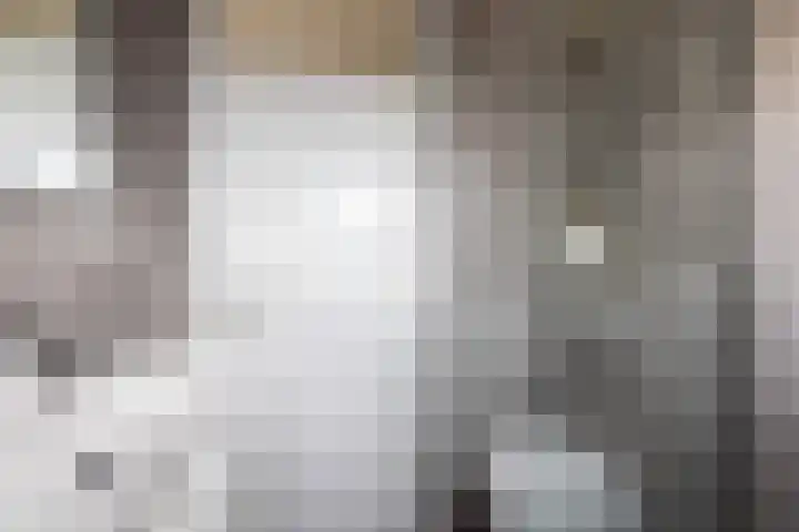 Bakboord 29 Wijk bij Duurstede thumbnail 31