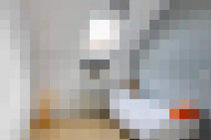 Bakboord 29 Wijk bij Duurstede thumbnail 34