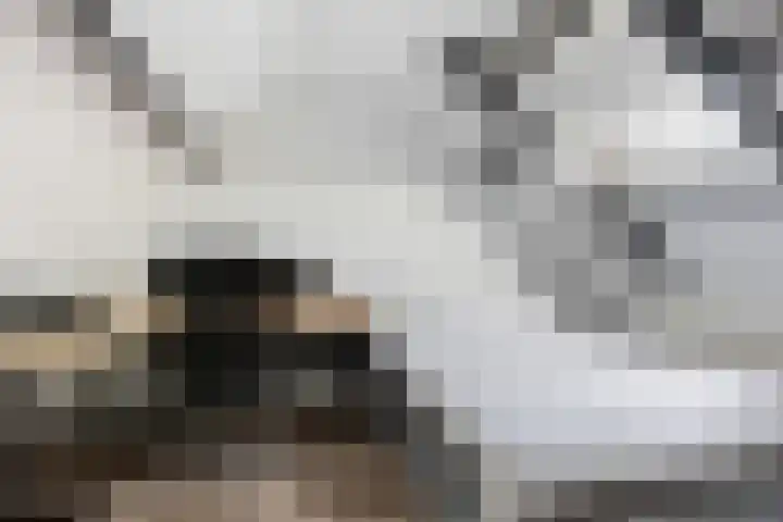Bakboord 29 Wijk bij Duurstede thumbnail 38