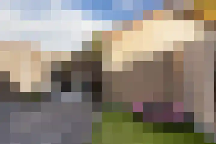 Bakboord 29 Wijk bij Duurstede thumbnail 41