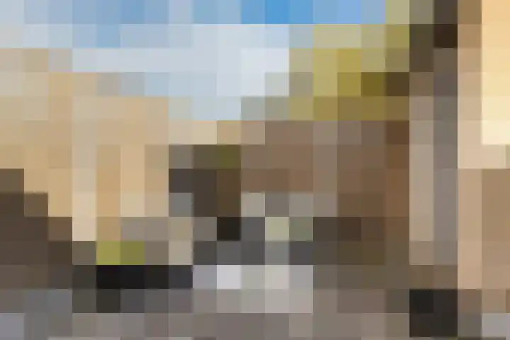 Bakboord 29 Wijk bij Duurstede thumbnail 42