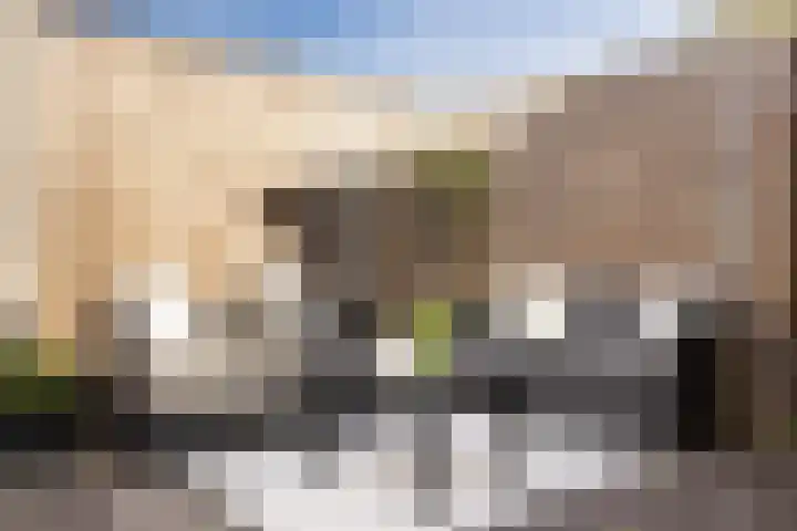 Bakboord 29 Wijk bij Duurstede thumbnail 43
