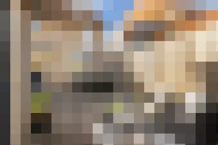 Bakboord 29 Wijk bij Duurstede thumbnail 44