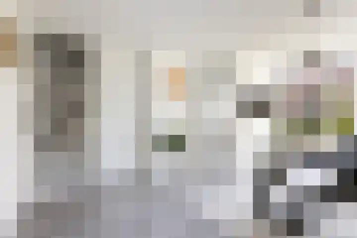 Bakboord 29 Wijk bij Duurstede thumbnail 5