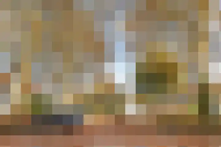 Bakboord 29 Wijk bij Duurstede thumbnail 54