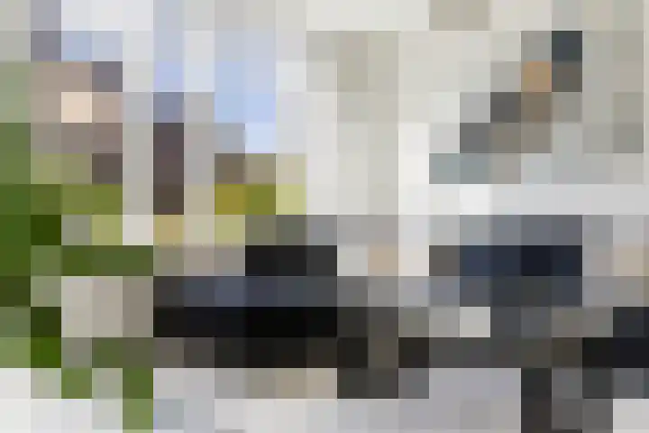 Bakboord 29 Wijk bij Duurstede thumbnail 7