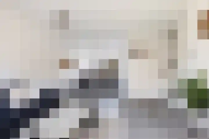 Bakboord 29 Wijk bij Duurstede thumbnail 9