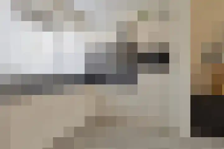 Bakboord 3 Huissen thumbnail 13