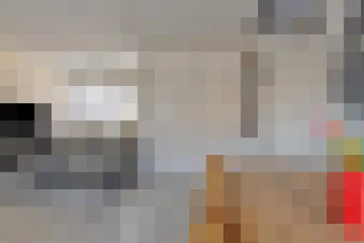 Bakboord 3 Huissen thumbnail 15