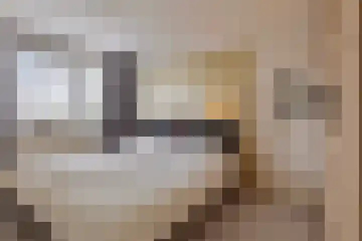 Bakboord 3 Huissen thumbnail 18
