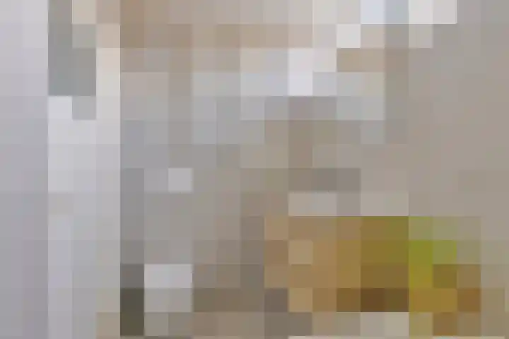 Bakboord 3 Huissen thumbnail 22