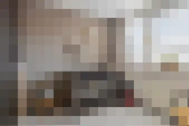 Bakboord 3 Huissen thumbnail 25