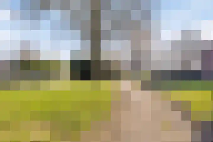 Bakboord 3 Huissen thumbnail 32