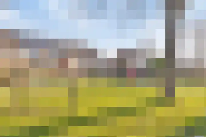 Bakboord 3 Huissen thumbnail 34