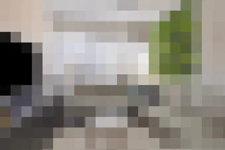 Bakboord 3 Huissen thumbnail 9