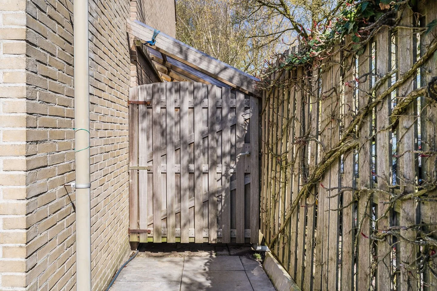 Bakboord 36 Amstelveen thumbnail 50