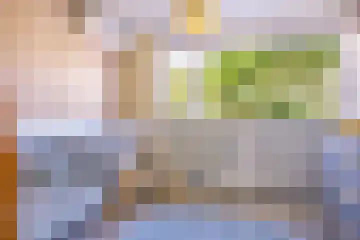 Bakboord 36 Huizen thumbnail 15