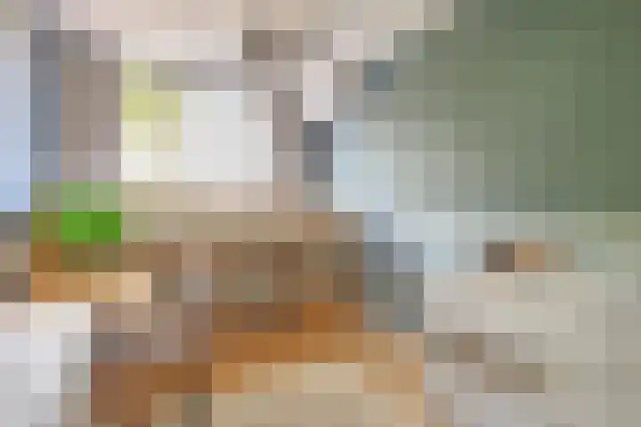 Bakboord 36 Huizen thumbnail 17