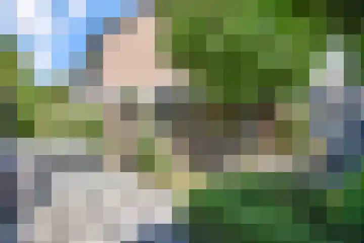 Bakboord 36 Huizen thumbnail 28