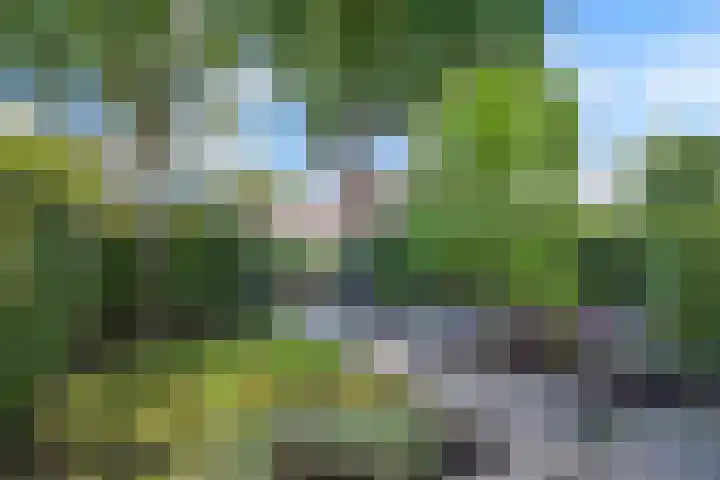Bakboord 36 Huizen thumbnail 34