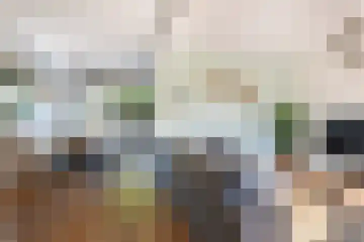 Bakboord 36 Huizen thumbnail 5