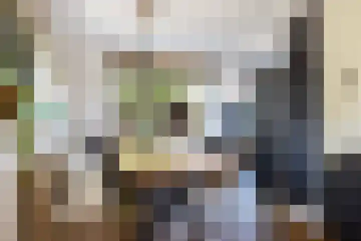 Bakboord 36 Huizen thumbnail 6
