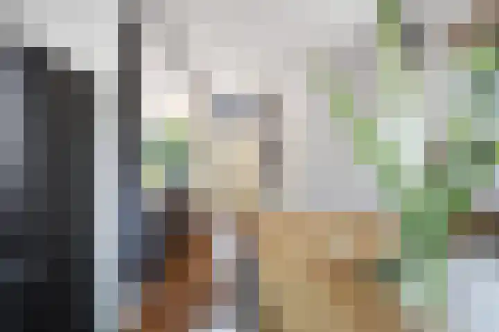 Bakboord 36 Huizen thumbnail 8