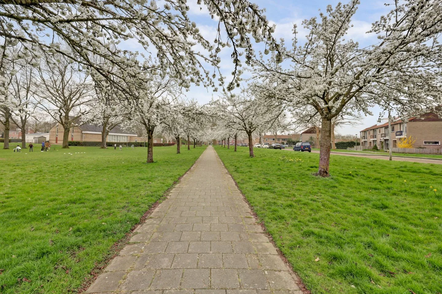 Bakboord 4 Dronten thumbnail 60